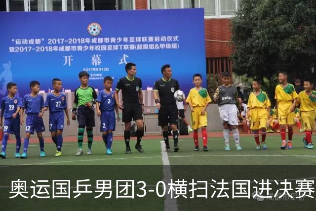 奥运国乒男团3-0横扫法国进决赛 将与瑞典争冠军