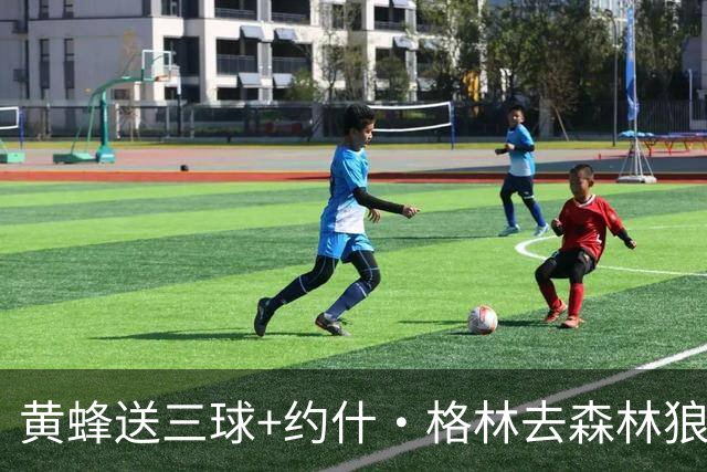 黄蜂送三球+约什·格林去森林狼 换里德+1首轮+3互换+3次轮