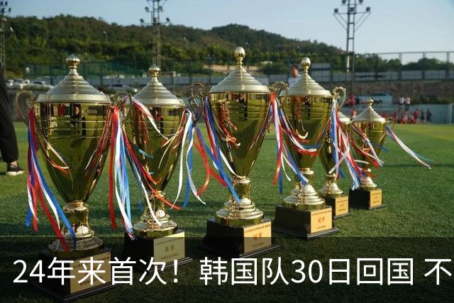 24年来首次！韩国队30日回国 不举行官方欢迎仪式